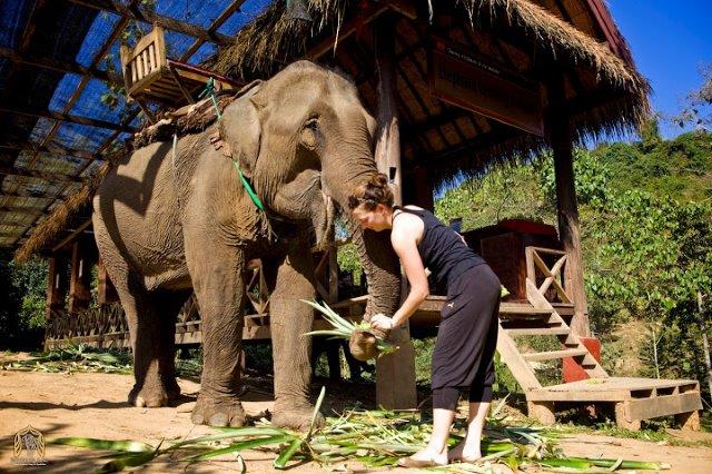 Luang Prabang - Elephant Village - Vang Vieng (by Fast Train) (B)